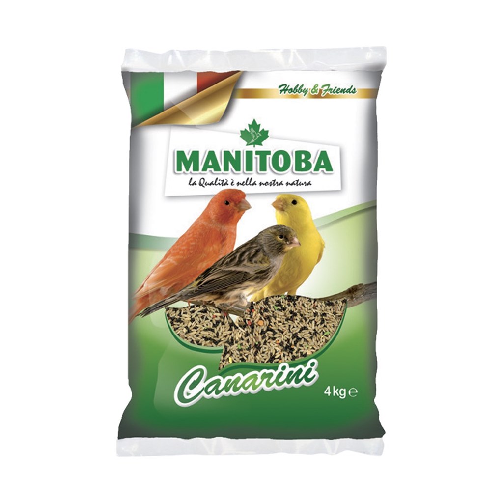 MISTO CANARINI BISCUIT MANITOBA - KG 4